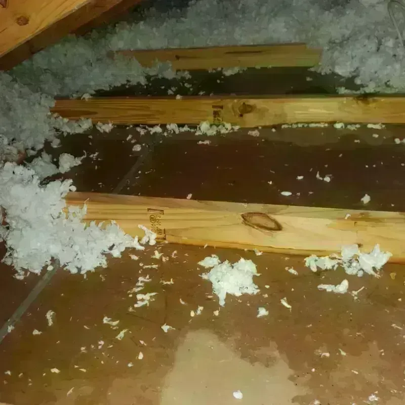 Attic Water Damage in Cashmere, WA