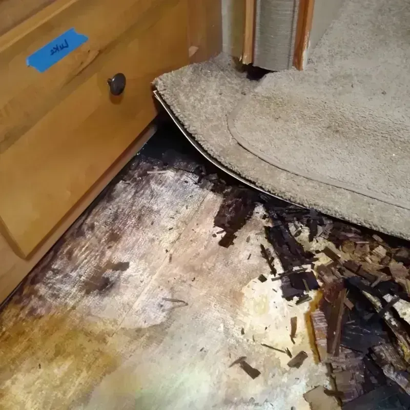 Wood Floor Water Damage in Cashmere, WA